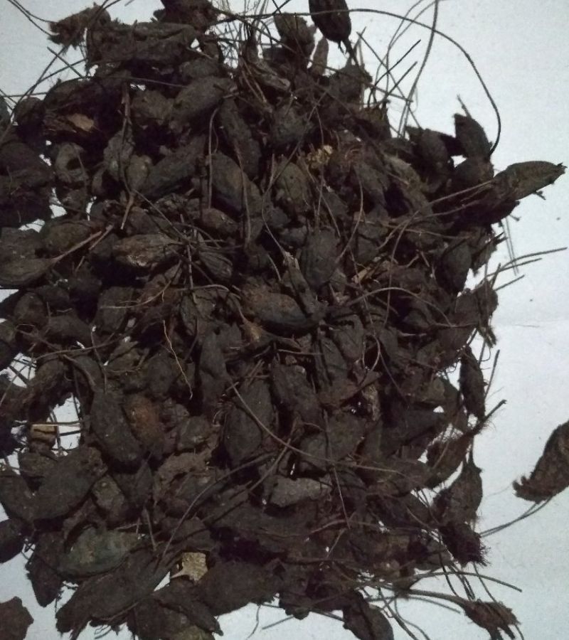 AL Madinah Dawasaz Spices Masala - 2025-10-25T201700.146