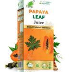CURA PAPAYA LEAF JUICE - 200ml