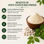 KONCH POWDER - Image 4